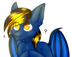 Size: 2692x2144 | Tagged: safe, artist:lama-fyrsenya9, oc, oc only, oc:solaris, bat pony, pony, bat pony oc, chest fluff, ear fluff, high res, male, solo, stallion