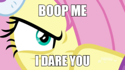Size: 600x337 | Tagged: safe, edit, edited screencap, editor:twilyisbestpone, screencap, fluttershy, pegasus, pony, g4, my little pony best gift ever, angry, anti-bronybait, badass, bronybait, caption, close-up, clothes, dare, earmuffs, evil eye, female, flutterbadass, hair over one eye, image macro, imminent boop, impact font, mare, narrowed eyes, solo, text, this will end in pain, winter outfit