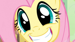 Size: 1920x1080 | Tagged: safe, screencap, fluttershy, pony, a bird in the hoof, g4, cute, faic, female, grin, happy, mare, smiling, solo