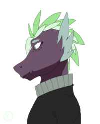 Size: 1768x2196 | Tagged: safe, artist:moonaknight13, spike, original species, g4, clothes, markings, redesign