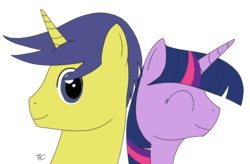 Size: 1600x1048 | Tagged: safe, artist:tobizgirl, comet tail, twilight sparkle, pony, g4, female, male, ship:cometlight, shipping, straight