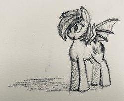 Size: 924x750 | Tagged: safe, artist:crazy water, oc, oc only, oc:nightglider, bat pony, pony, bat pony oc, female, lineart, mare, monochrome, pencil drawing, sketch, solo, traditional art