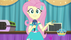 Size: 1920x1080 | Tagged: safe, fluttershy, best in show: the pre-show, equestria girls, g4, my little pony equestria girls: better together, female, looking at you, microphone, smiling, solo