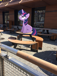 Size: 2448x3264 | Tagged: safe, artist:albertuha, twilight sparkle, alicorn, pony, g4, female, high res, irl, mare, mcdonald's, photo, ponies in real life, sitting, solo, twilight sparkle (alicorn), winter