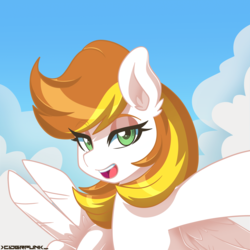 Size: 2000x2000 | Tagged: safe, artist:ciderpunk, oc, pegasus, pony, bust, female, high res