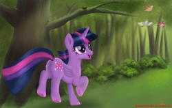 Size: 1899x1200 | Tagged: safe, artist:greenbrothersart, twilight sparkle, alicorn, bird, pony, g4, cute, female, forest, grass, mare, movie accurate, smiling, solo, tree, twiabetes, twilight sparkle (alicorn)