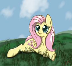 Size: 2591x2374 | Tagged: dead source, safe, artist:luxsimx, fluttershy, pegasus, pony, g4, cloud, cute, female, grass, heart eyes, high res, lying down, prone, shyabetes, solo, wingding eyes