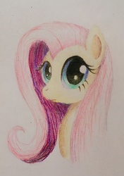 Size: 2162x3064 | Tagged: safe, artist:phat_guy, derpibooru exclusive, fluttershy, pegasus, pony, g4, bust, colored pencil drawing, female, high res, looking at you, mare, portrait, simple background, solo, traditional art