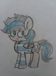 Size: 1520x2040 | Tagged: safe, artist:soupadoup, oc, oc only, oc:silver wing, pegasus, pony, clothes, hoodie, male, traditional art