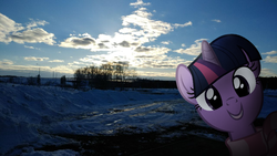 Size: 1280x721 | Tagged: safe, artist:naijiwizard, edit, twilight sparkle, pony, unicorn, g4, winter wrap up, bust, clothes, cloud, cloudy, female, forest, head only, irl, looking at you, mare, photo, ponies in real life, road, russia, scarf, smiling, snow, solo, sun, winter