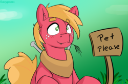 Size: 1100x722 | Tagged: safe, artist:fuzzypones, big macintosh, earth pony, pony, :3, behaving like a dog, big macindog, blushing, bronybait, colored, cute, ear fluff, freckles, gradient background, grass, green background, looking up, macabetes, male, mouth hold, no pupils, pet request, sign, simple background, smiling, solo, stallion, straw in mouth, text, wide eyes, younger