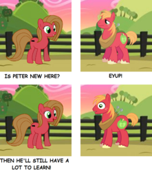 Size: 850x960 | Tagged: safe, derpibooru exclusive, big macintosh, oc, oc:pun, pony, g4, comic, peter new, pun