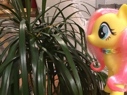 Size: 3264x2448 | Tagged: safe, fluttershy, pony, g4, blinds, chair, couch, hand woven necklace, high res, irl, jewelry, necklace, photo, plant