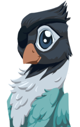 Size: 620x976 | Tagged: safe, artist:lockhe4rt, oc, oc only, oc:lovebird mccaw, griffon, ponyfinder, blue, bust, cute, dungeons and dragons, lovebird, pathfinder, pen and paper rpg, pirate, portrait, rpg, solo, swashbuckler