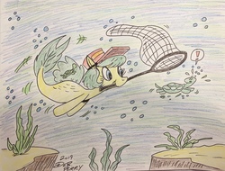 Size: 3495x2655 | Tagged: safe, artist:debmervin, oc, oc only, oc:turtle chaser, seapony (g4), turtle, exclamation point, high res, mouth hold, net, solo, traditional art, underwater
