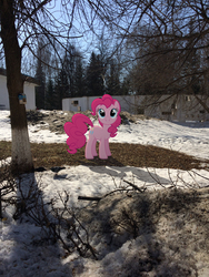 Size: 2448x3264 | Tagged: safe, artist:albertuha, pinkie pie, earth pony, pony, g4, female, high res, irl, mare, photo, ponies in real life, smiling, snow, solo, winter