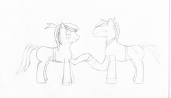 Size: 4592x2632 | Tagged: safe, artist:arcturus-fyre, pony, emmet brickowski, lego, lineart, monochrome, ponified, the lego movie, traditional art, wyldstyle