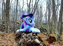 Size: 1758x1289 | Tagged: safe, photographer:hihin1993, starlight glimmer, pony, unicorn, g4, :p, forest, irl, lying down, photo, plushie, silly, solo, tongue out