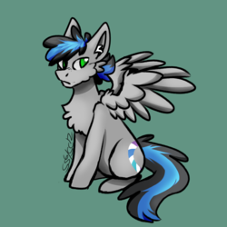 Size: 900x900 | Tagged: safe, artist:snowcactus, oc, oc only, oc:dirius, pegasus, pony, solo, ss6/sc12