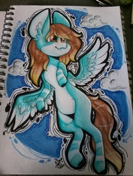 Size: 1600x1200 | Tagged: safe, artist:thecheekycherry, oc, oc only, pegasus, pony, cloud, notebook, partial background, solo, traditional art