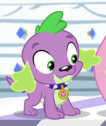 Size: 302x356 | Tagged: safe, screencap, spike, spike the regular dog, dog, dance magic, equestria girls, equestria girls specials, g4, cropped, male, paws, smiling, spike's dog collar
