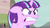 Size: 1280x720 | Tagged: safe, screencap, starlight glimmer, pony, unicorn, g4, the cutie map, angry, angry face, bust, female, furious, glare, gritted teeth, horn, mare, quiet, rage, ragelight glimmer, s5 starlight, solo, teeth, vein, vein bulge