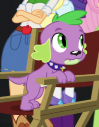 Size: 254x324 | Tagged: safe, screencap, applejack, fluttershy, rarity, spike, spike the regular dog, dog, equestria girls, equestria girls specials, g4, movie magic, cropped, male, offscreen character, paws, spike's dog collar