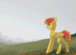 Size: 2309x1657 | Tagged: safe, artist:koviry, oc, oc:anonymous sandwich, pegasus, pony, animated, cinemagraph, field, frame by frame, glasses, solo, wind
