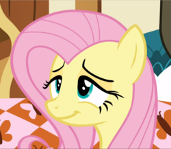 Size: 1083x939 | Tagged: safe, screencap, fluttershy, harry, pegasus, pony, g4, scare master, cropped, female, lidded eyes, mare, smiling, solo