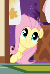 Size: 422x623 | Tagged: safe, screencap, fluttershy, pegasus, pony, scare master, cropped, cute, female, mare, shyabetes, smiling, solo