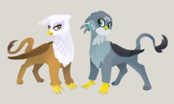 Size: 1214x729 | Tagged: safe, artist:nightmare fuel, gabby, gilda, griffon, g4, duo, female, folded wings, happy, looking at each other, smiling, standing, wings