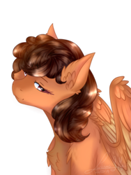 Size: 854x1135 | Tagged: safe, artist:enghelkitten, oc, oc only, pegasus, pony, female, mare, simple background, solo, transparent background