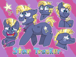 Size: 2732x2048 | Tagged: safe, artist:peanutcat62, star tracker, earth pony, pony, g4, once upon a zeppelin, bust, chest fluff, crying, cute, ear fluff, expressions, floppy ears, food, heart eyes, high res, hoof hold, ice cream, male, multeity, neck fluff, portrait, profile, stallion, starry eyes, stars, teary eyes, trackerbetes, wingding eyes