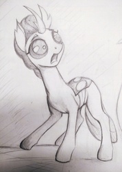 Size: 2850x4000 | Tagged: safe, artist:ponsce, ocellus, changedling, changeling, g4, female, monochrome, solo, traditional art