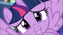 Size: 1671x939 | Tagged: safe, screencap, twilight sparkle, alicorn, pony, g4, made in manehattan, close-up, cropped, cute, female, looking at you, mare, smiling, solo, twiabetes, twilight sparkle (alicorn)