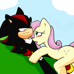 Size: 2000x2000 | Tagged: safe, artist:soul-yagami64, fluttershy, g4, crossover, high res, male, shadow the hedgehog, sonic the hedgehog, sonic the hedgehog (series)