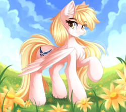 Size: 5000x4444 | Tagged: safe, artist:airiniblock, oc, oc only, oc:noeleft, oc:star nai, pegasus, pony, rcf community, air force, cheek fluff, chest fluff, cloud, ear fluff, female, flower, grass, looking at you, mare, raised hoof, sky, smiling, solo, spread wings, standing, wings