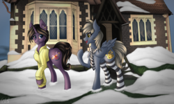 Size: 5000x3000 | Tagged: safe, artist:catdclassic, oc, oc only, oc:marka, oc:recky rich, pony, clothes, house, pair, snow, socks, striped socks, winter
