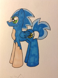 Size: 1936x2592 | Tagged: safe, artist:fantasykingdom456, pony, male, ponified, sonic the hedgehog, sonic the hedgehog (series), traditional art