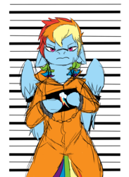 Size: 2344x3200 | Tagged: safe, artist:brainiac, rainbow dash, semi-anthro, g4, arm hooves, clothes, commission, commissioner:rainbowdash69, cuffs, female, high res, mugshot, never doubt rainbowdash69's involvement, prison outfit, prisoner rd, solo