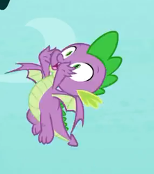 Size: 285x322 | Tagged: safe, screencap, spike, dragon, g4, molt down, season 8, claws, cropped, flying, male, tail, winged spike, wings