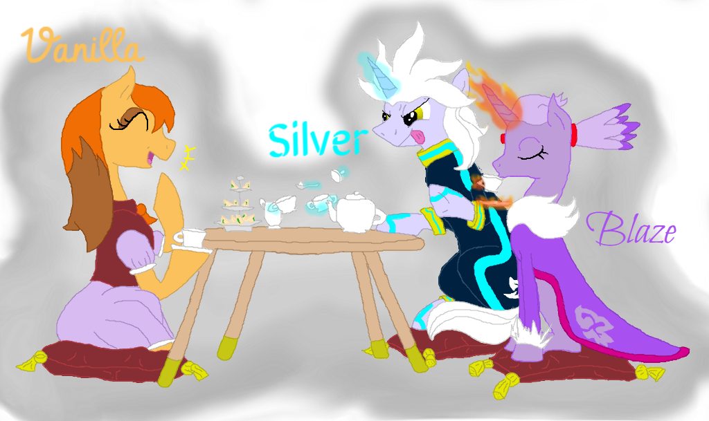 silver the hedgehog and blaze the cat story