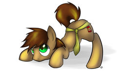 Size: 1023x614 | Tagged: safe, artist:tetrapony, oc, oc only, oc:spazzy, pony, adorkable, ass up, cute, dork, face down ass up, male, necktie, raised tail, simple background, solo, stallion, tail, white background