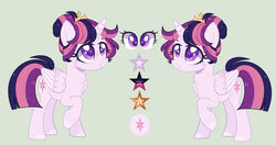 Size: 1280x677 | Tagged: safe, artist:nocturnal-moonlight, twilight sparkle, alicorn, pony, g4, alternate hairstyle, chest fluff, female, reference sheet, simple background, solo, twilight sparkle (alicorn)