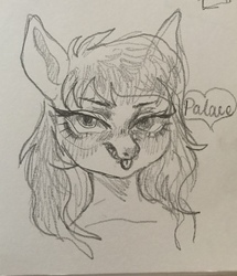 Size: 2504x2917 | Tagged: safe, artist:palace, oc, oc:venus spring, pony, bust, high res, looking at you, pencil drawing, portrait, tongue out, traditional art, venus spring actually having a pretty good time