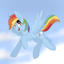 Size: 5000x5000 | Tagged: safe, artist:exvius, rainbow dash, pegasus, pony, g4, blue background, cloud, female, flying, happy, looking at you, simple background, solo, spread wings, wings