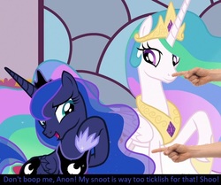 Size: 763x637 | Tagged: safe, edit, edited screencap, screencap, princess celestia, princess luna, pony, g4, season 7, shadow play, boop, boop edit, bronybait, caption, cropped, crown, cute, disembodied hand, ethereal mane, hand, hoof shoes, implied anon, jewelry, meta, necklace, regalia, royal sisters, sillestia, silluna, silly, silly pony