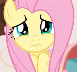 Size: 760x712 | Tagged: safe, screencap, fluttershy, pony, discordant harmony, g4, 3:, cropped, cute, female, looking at you, shyabetes, solo