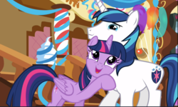 Size: 1572x942 | Tagged: safe, screencap, shining armor, twilight sparkle, alicorn, pony, g4, the one where pinkie pie knows, cute, duo, female, male, open mouth, smiling, twiabetes, twilight sparkle (alicorn)