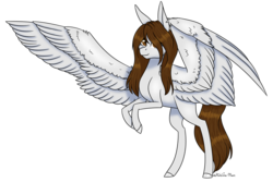 Size: 1556x1037 | Tagged: safe, artist:moonwolf96, oc, oc only, oc:bubbles, pegasus, pony, female, mare, rearing, simple background, solo, transparent background